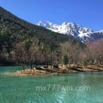 Avatar Carolina Sandoval