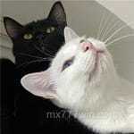 Avatar Florencia Armenta