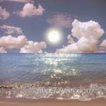 Avatar Simón Gallardo